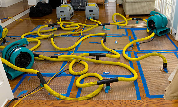 Professional Sewage Cleanup technician working in Pima, AZ